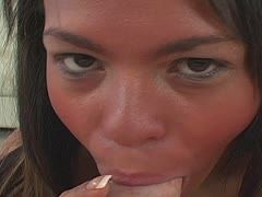 Exotisches Luder gibt sexy Blowjob